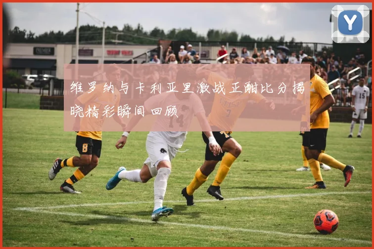 维罗纳与卡利亚里激战正酣比分揭晓精彩瞬间回顾