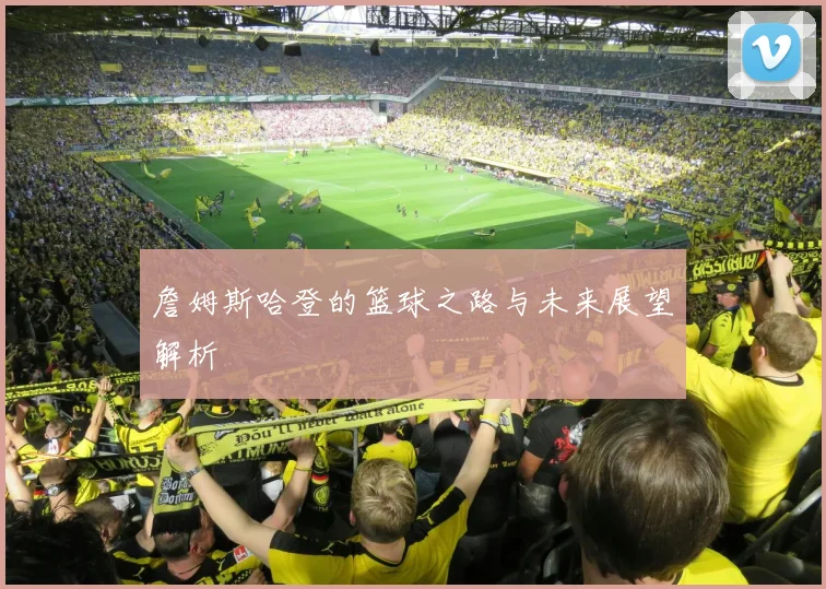 詹姆斯哈登的篮球之路与未来展望解析